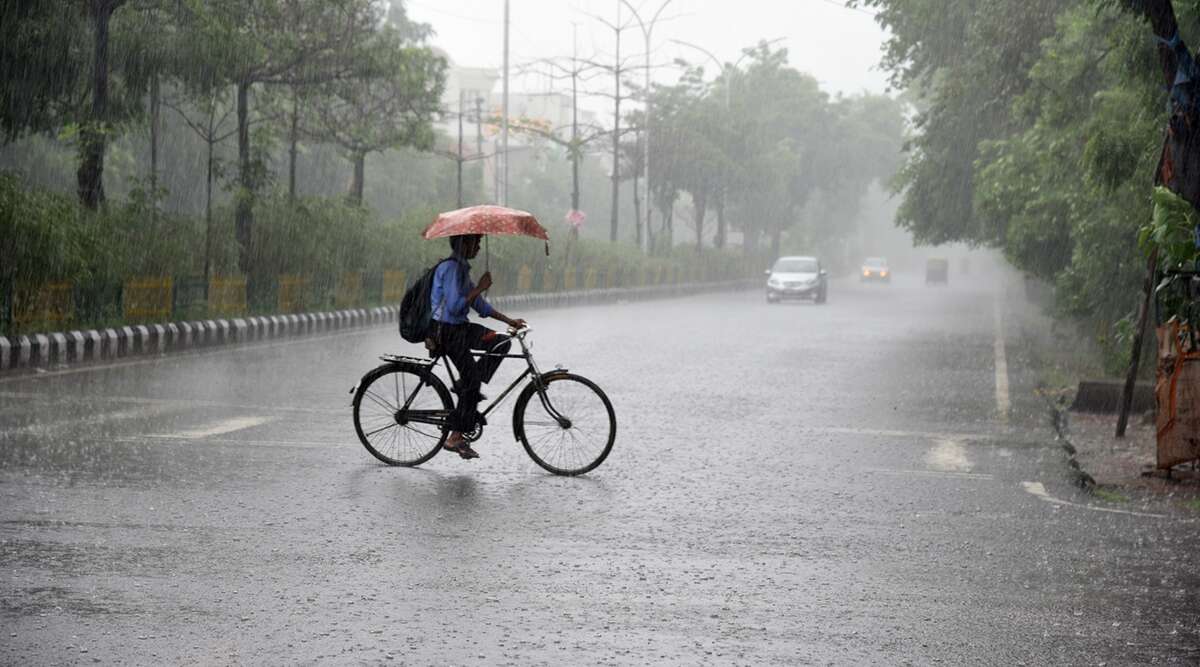 আগমন ঘটেছে বর্ষার