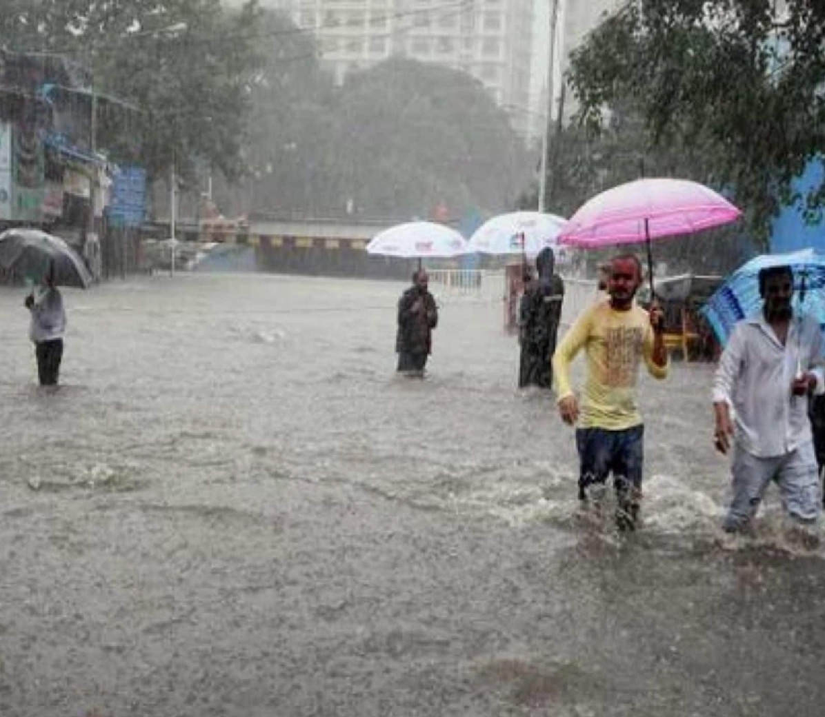 পশ্চিমবঙ্গের একাধিক জেলায় ভারী বৃষ্টিপাতের পূর্বাভাস জারি করা হয়েছে
