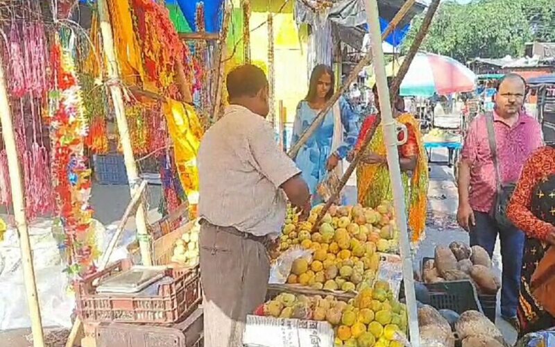 ছট পুজোর আগে চাহিদা বেড়ে গেল নারকেলের