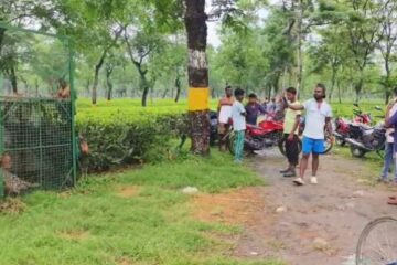জিতি চা বাগানে খাঁচায় আটকা পড়েছে একটি চিতাবাঘ